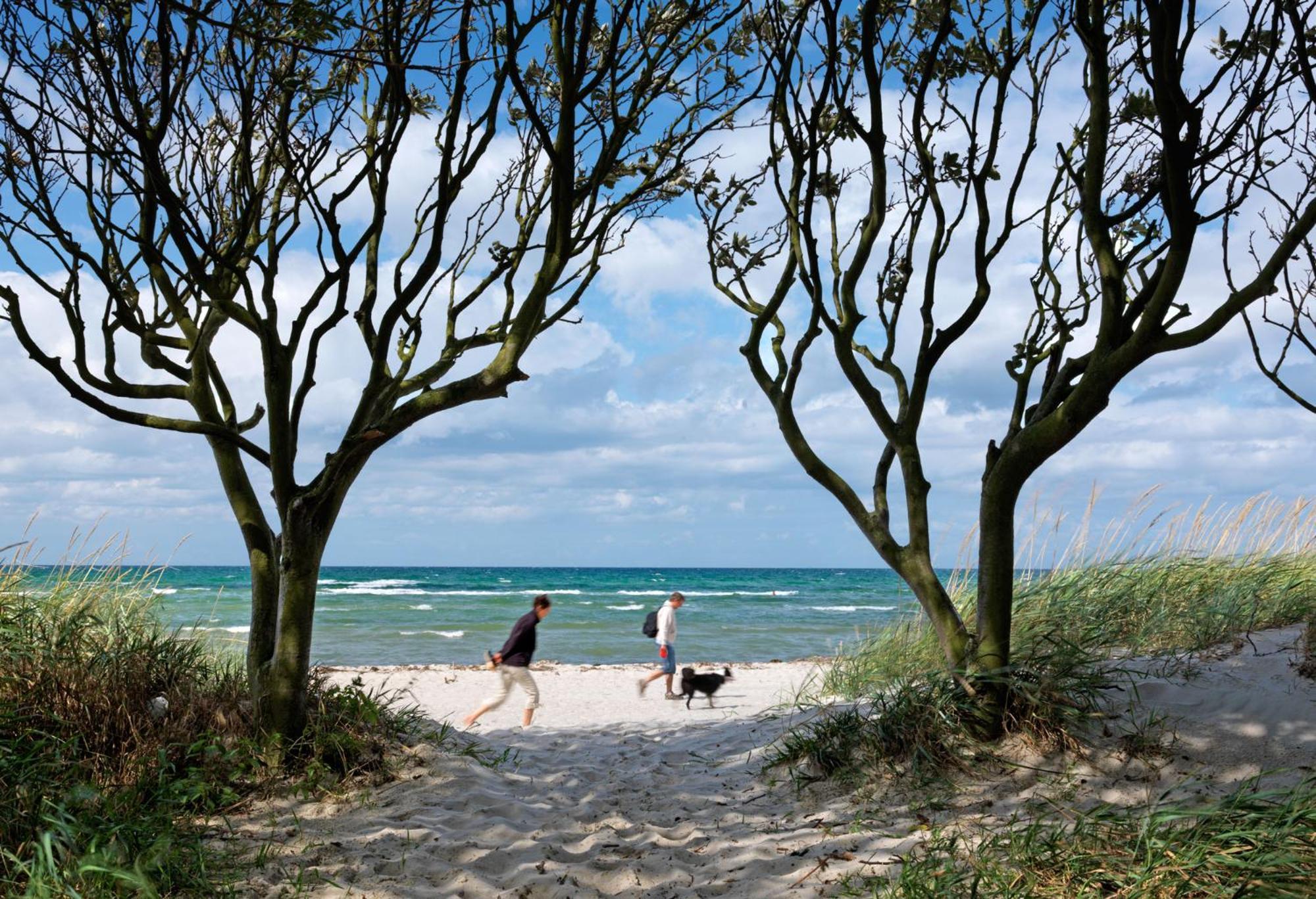 Reetdachhaus Hus Kieker Villa Insel Poel Exteriör bild