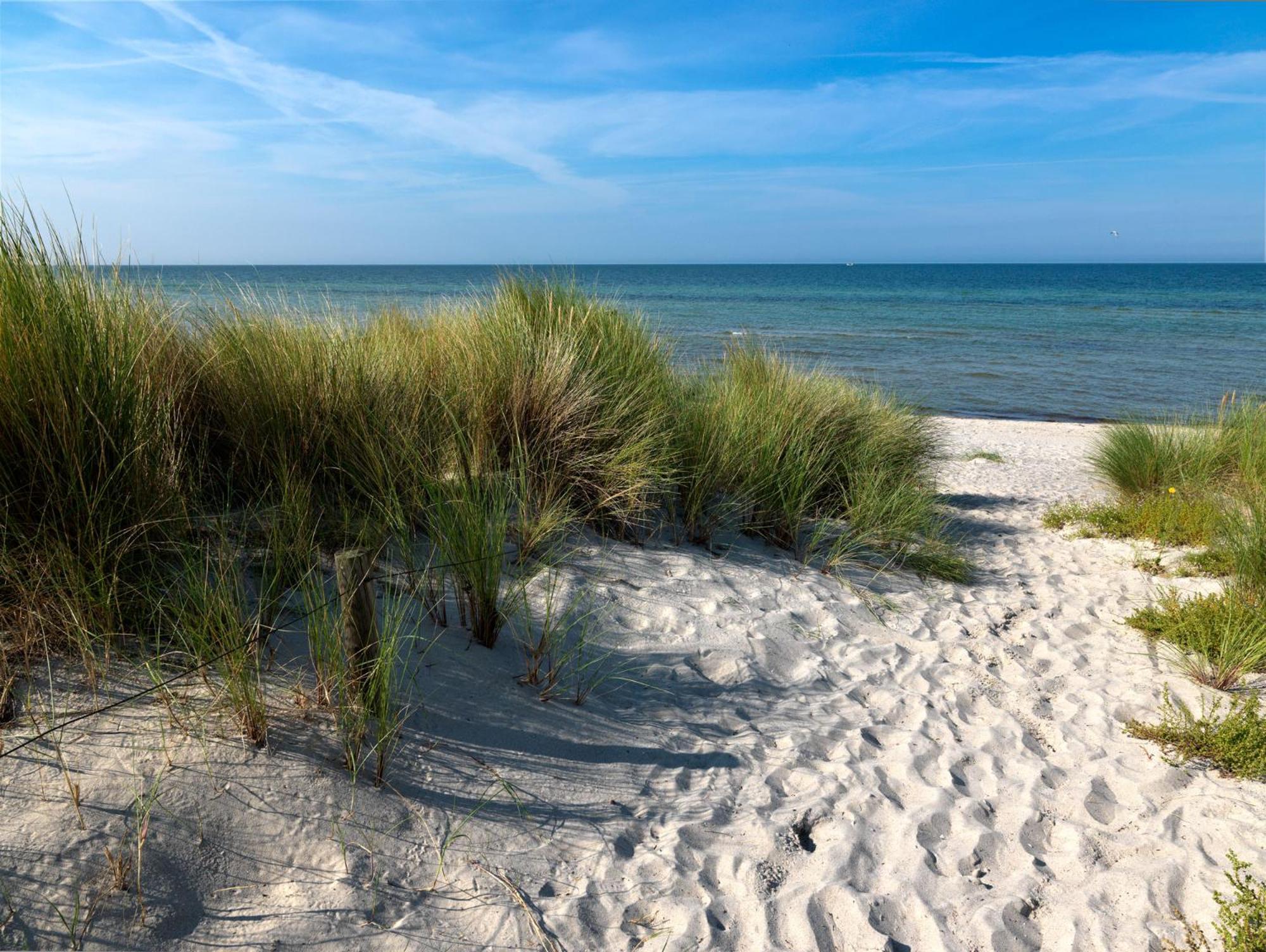Reetdachhaus Hus Kieker Villa Insel Poel Exteriör bild