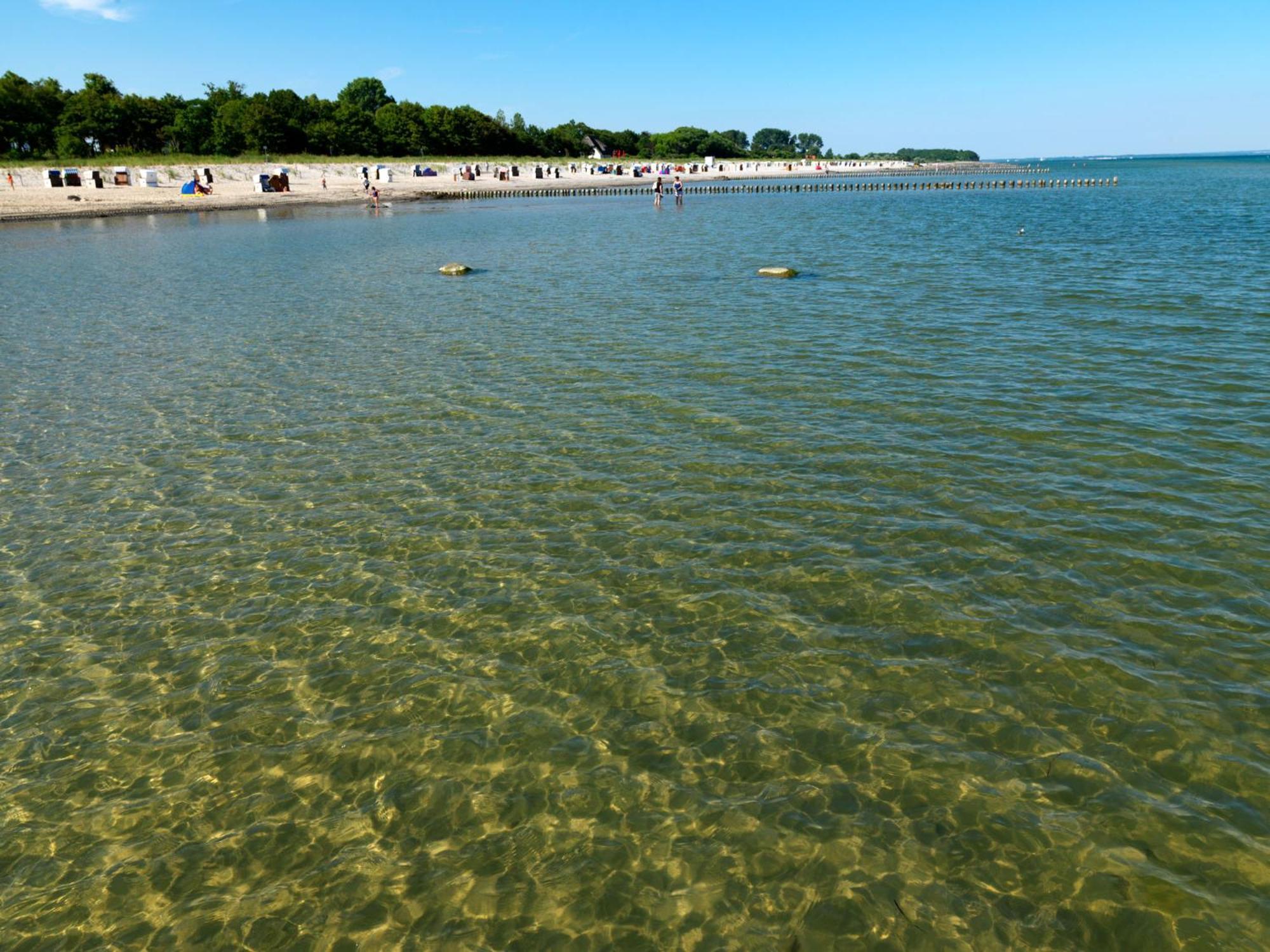Reetdachhaus Hus Kieker Villa Insel Poel Exteriör bild